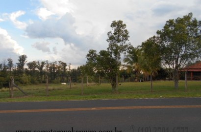Estrada sentido Lavínia