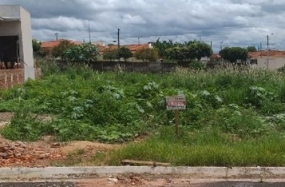R Adão Menegante