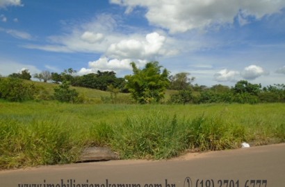 Parque das Palmeiras