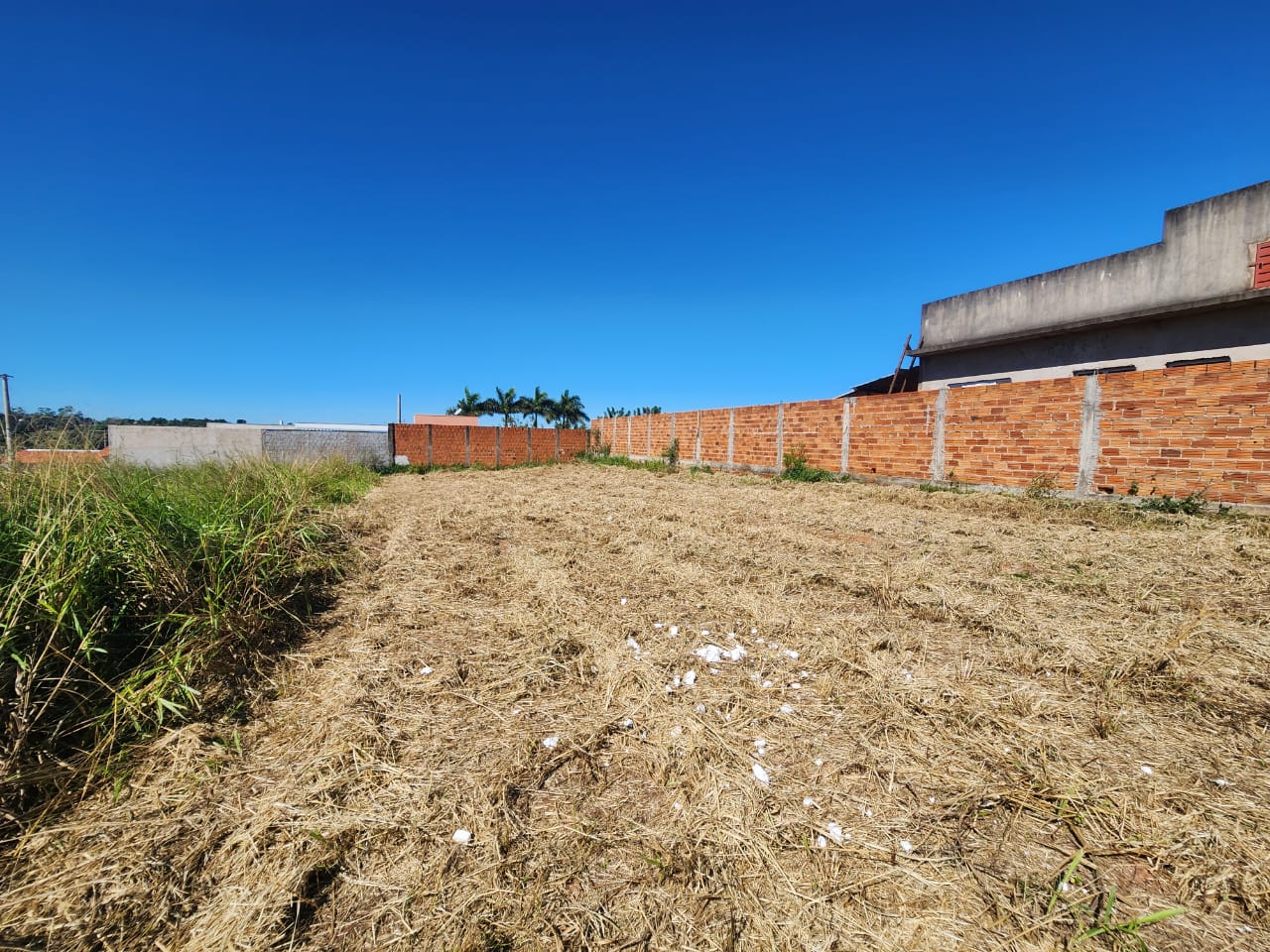 Terreno - Bairro Sampaio II